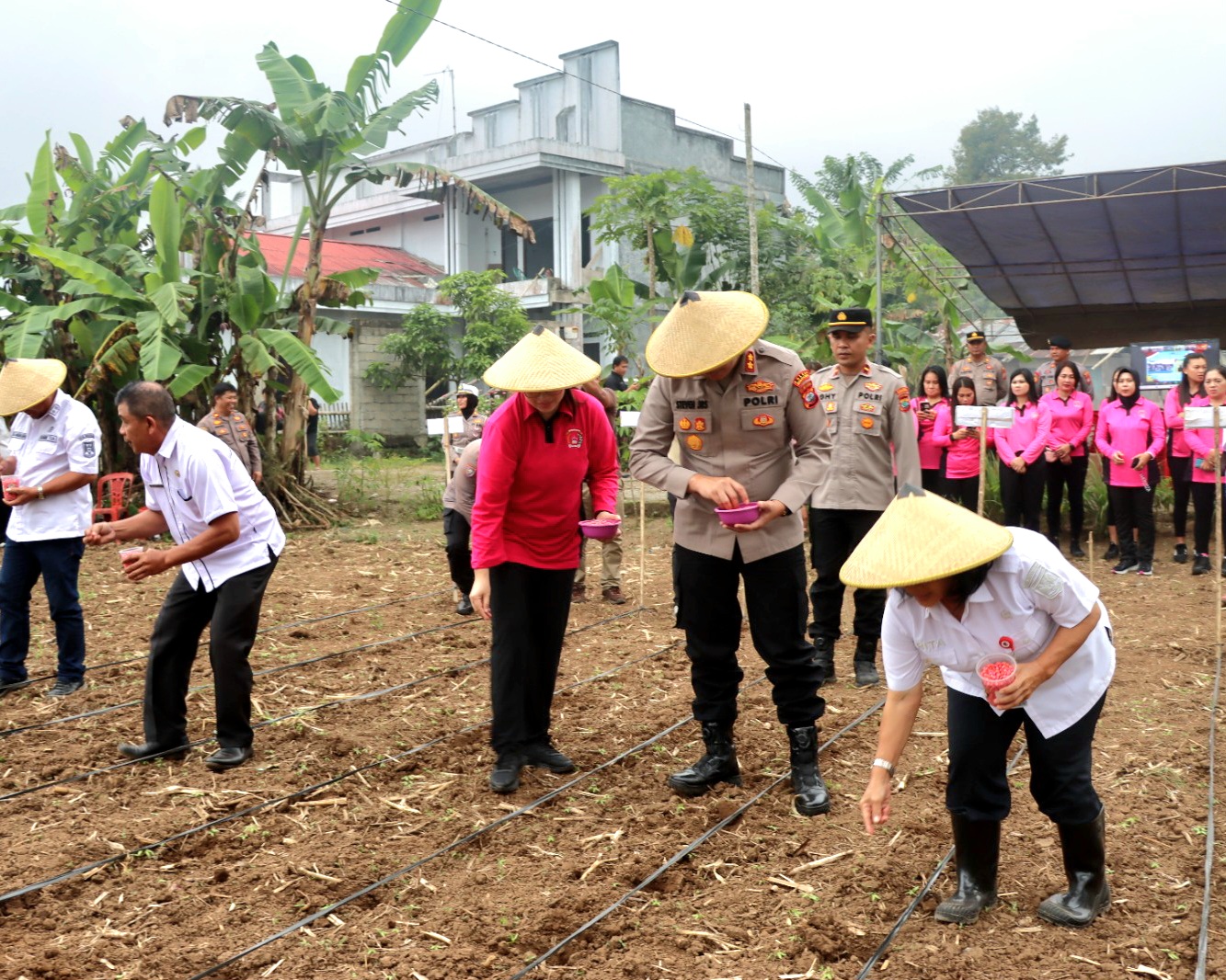 Dukung Ketahanan Pangan Nasional, Kapolres Minahasa Pimpin Penanaman Jagung Serentak Kwartal III di Lahan Perhutanan Sosial Desa Touliang Kakas Barat