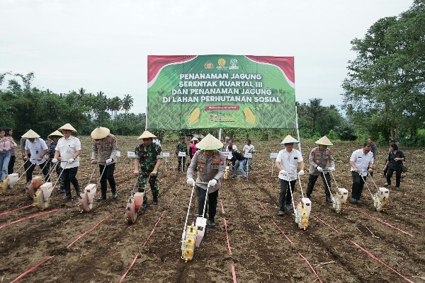 Kapolda Sulut Pimpin Penanaman Jagung Serentak Kuartal III di Lahan Perhutanan Sosial Desa Laikit Minut